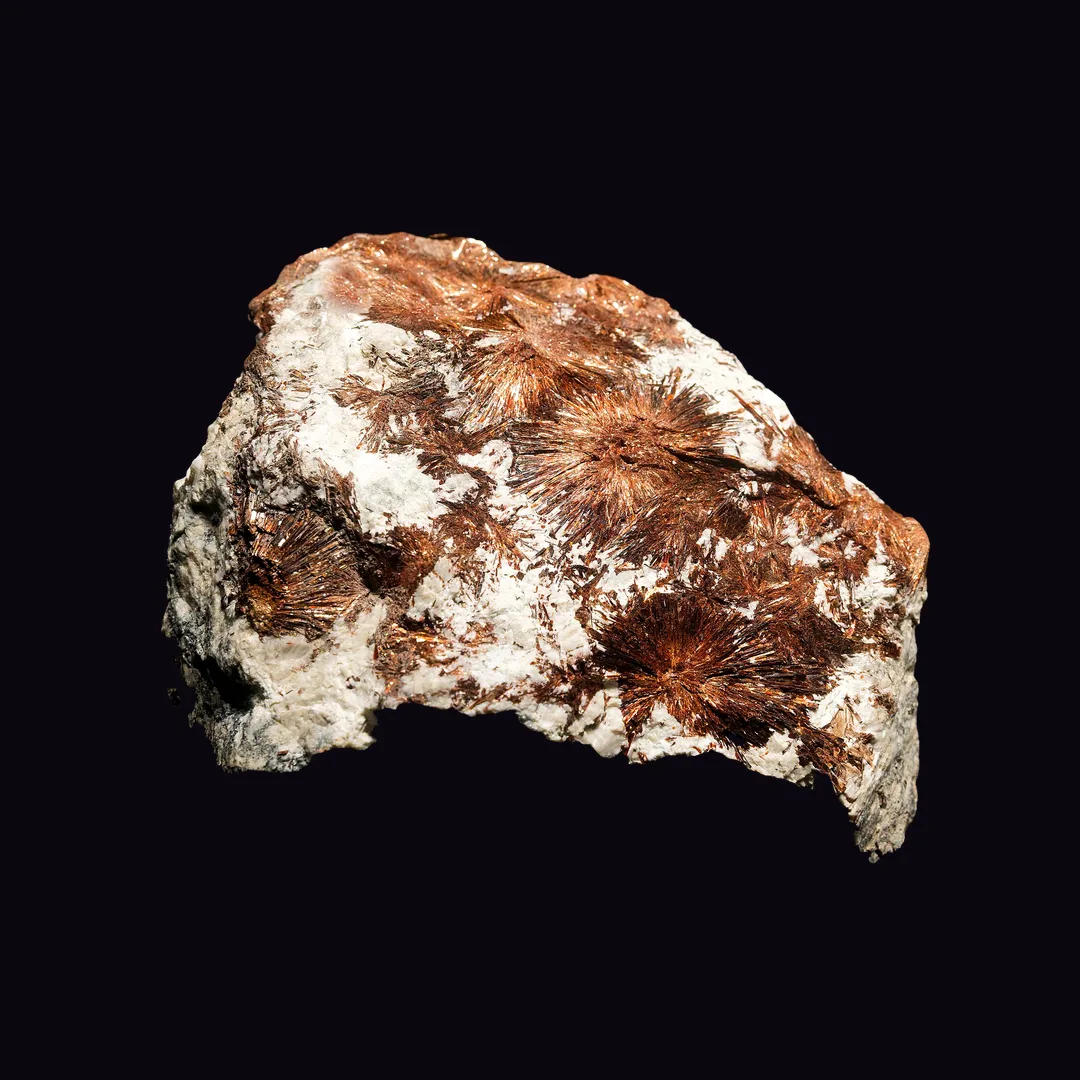 Astrophyllite, bronze-gold blades on grey, black or cream matrix and copper silicate mineral specimen