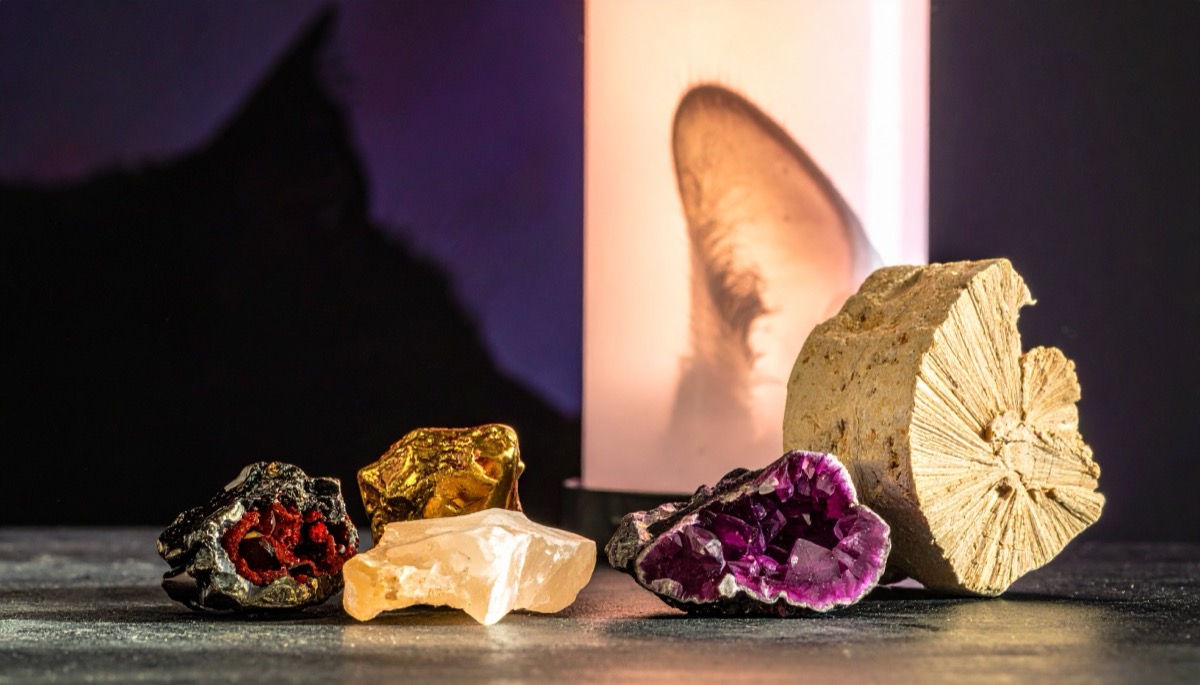rough red, gold, pale and purple mineral specimens in front of a cat silhouette