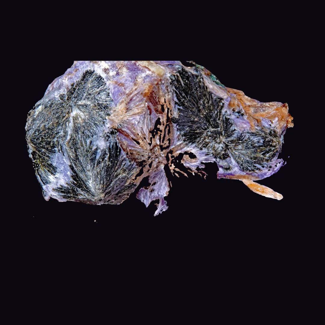 Charoite, violet and lilac silicate mineral specimen