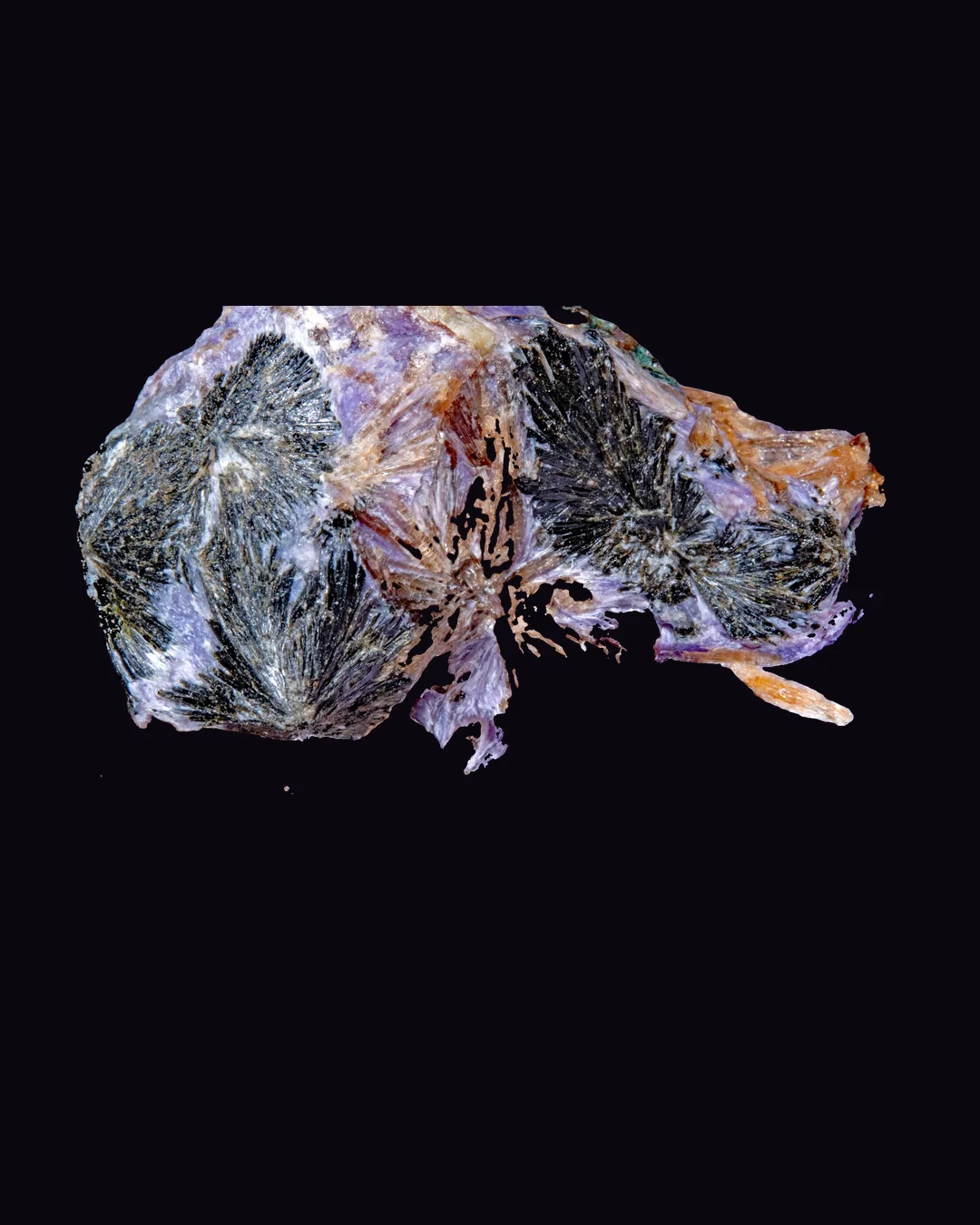 Charoite, violet and lilac silicate mineral specimen