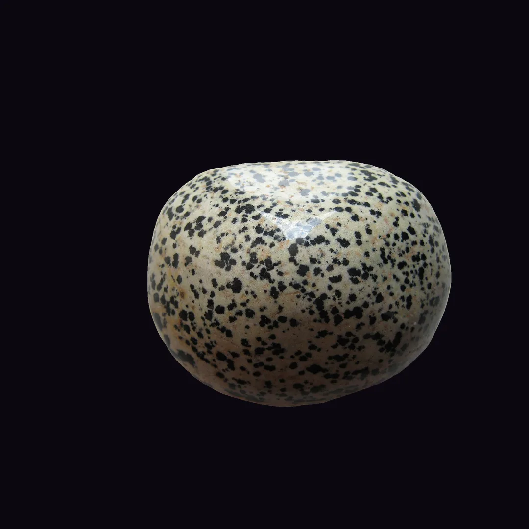 Dalmatian Stone, cream-white with black spots and beige with black and rust spots rock (aggregate) mineral specimen