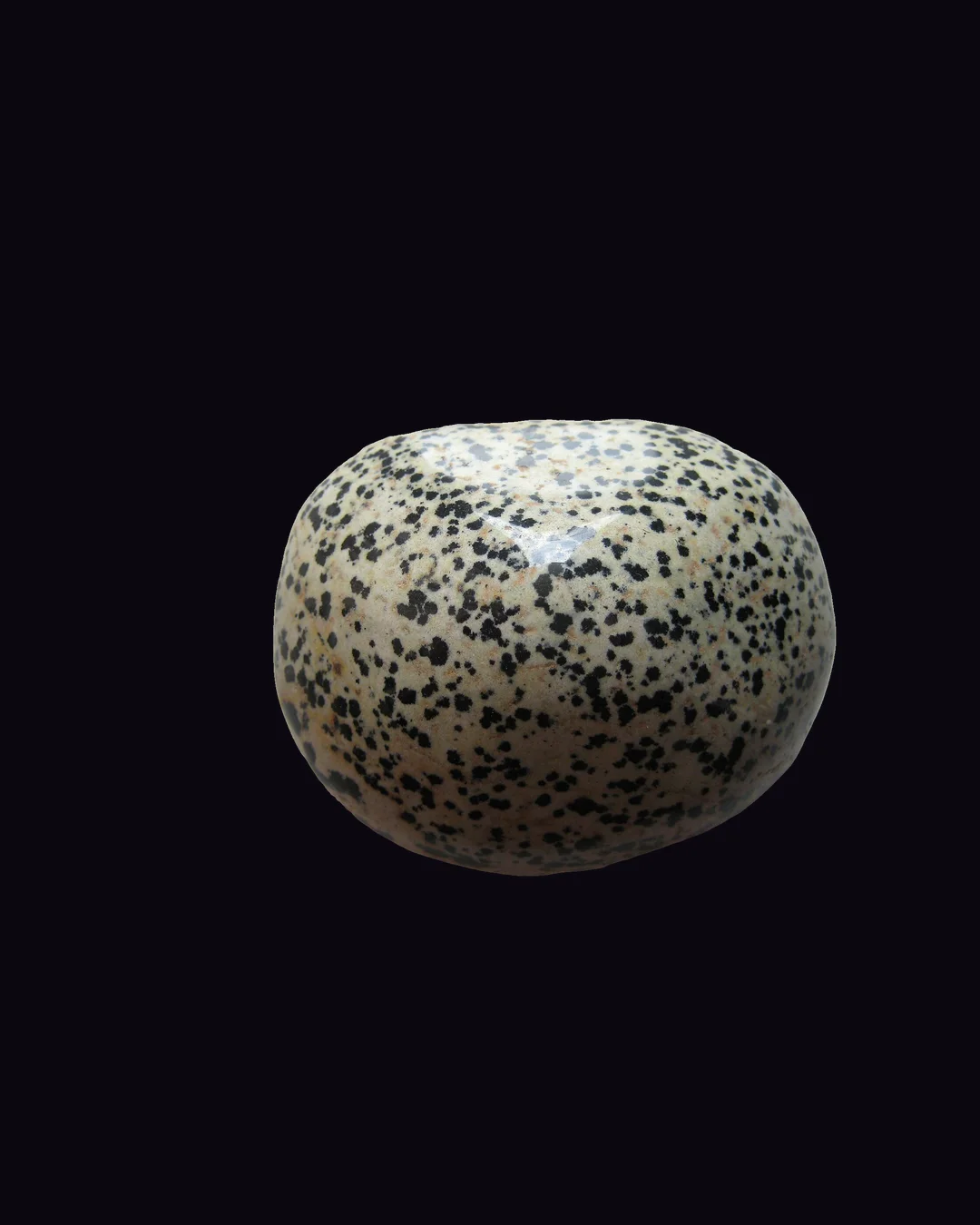 Dalmatian Stone, cream-white with black spots and beige with black and rust spots rock (aggregate) mineral specimen