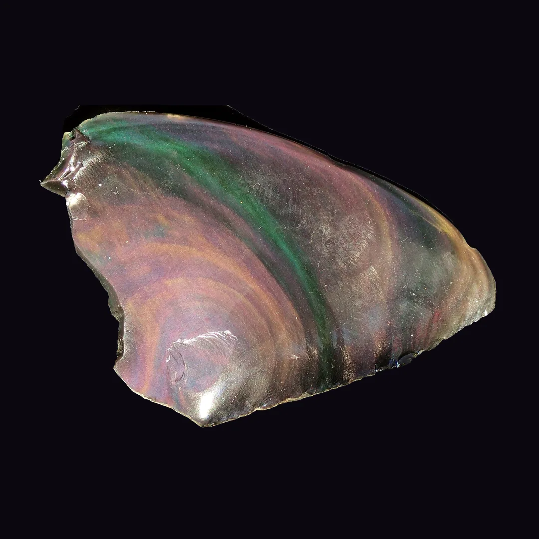 Rainbow Obsidian, black with green, magenta, gold, violet and blue banded sheen volcanic glass mineral specimen