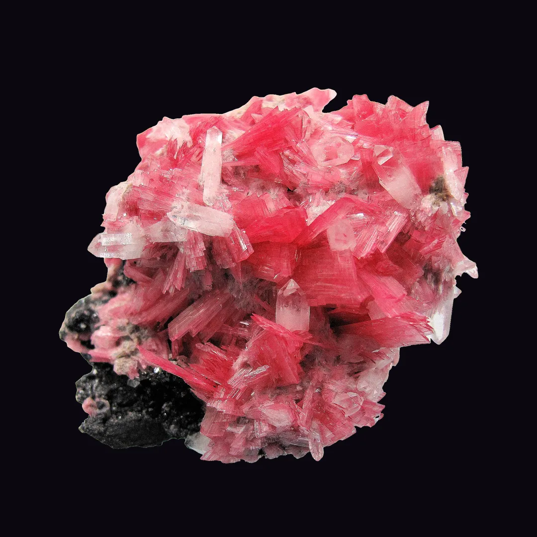 Rhodonite, rose pink and salmon silicate mineral specimen
