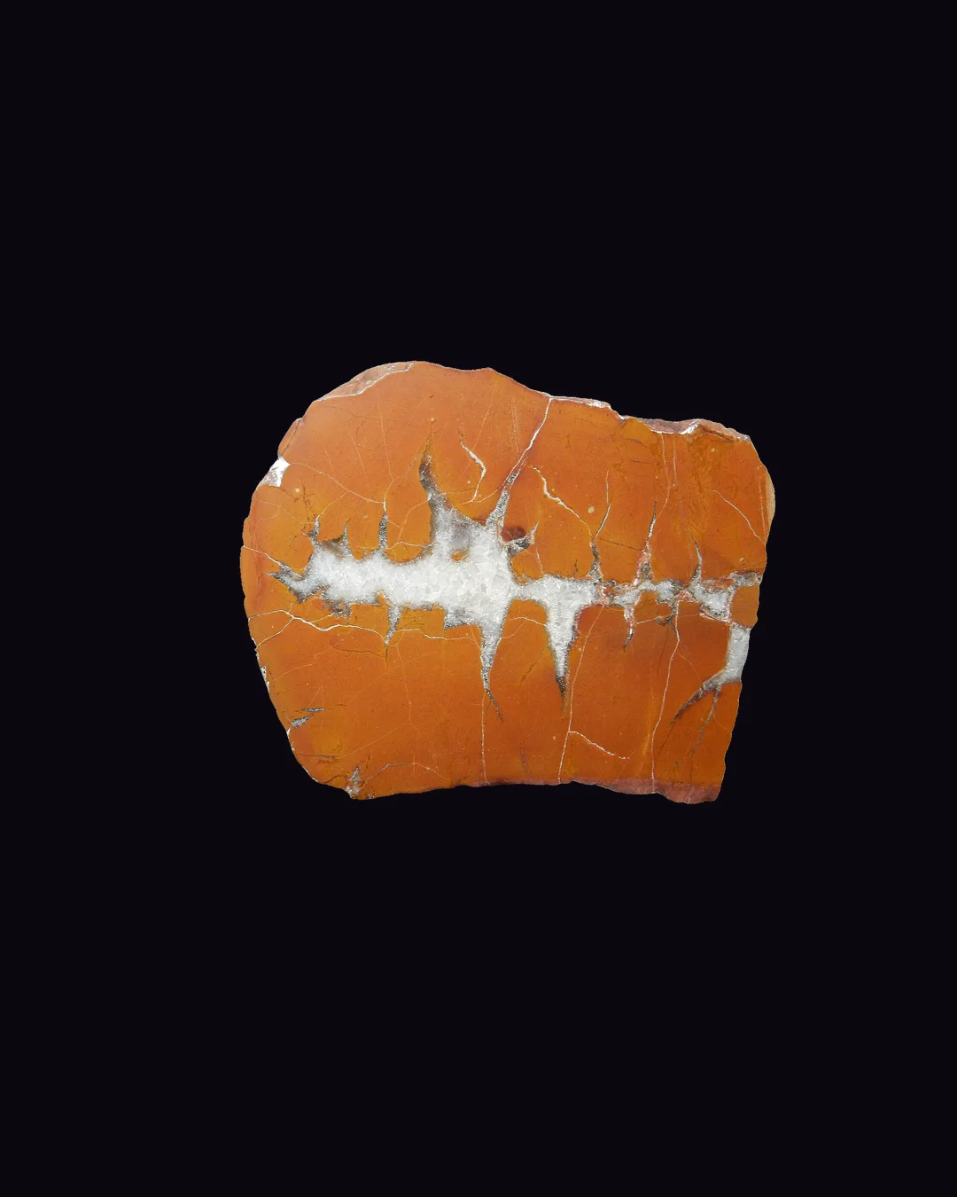 Septarian, mustard yellow calcite and grey-brown matrix rock (aggregate) mineral specimen