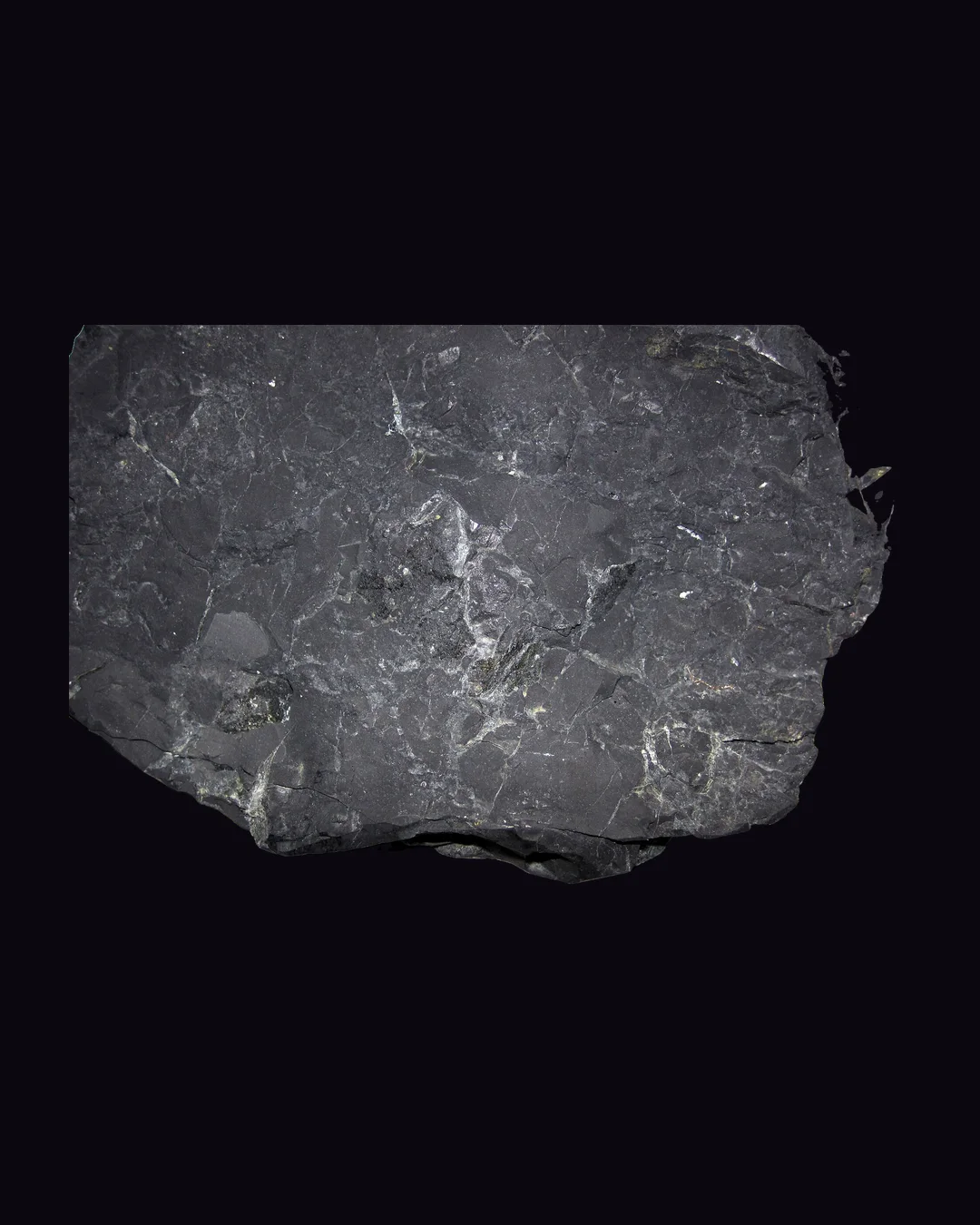 Shungite, matte black and silvery black organic mineral specimen